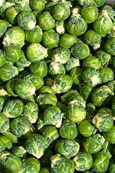 Amazon.com : Jade Cross (Hybrid) Brussels Sprout Seeds